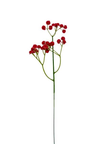 Gipsówka pik 43 cm czerwona