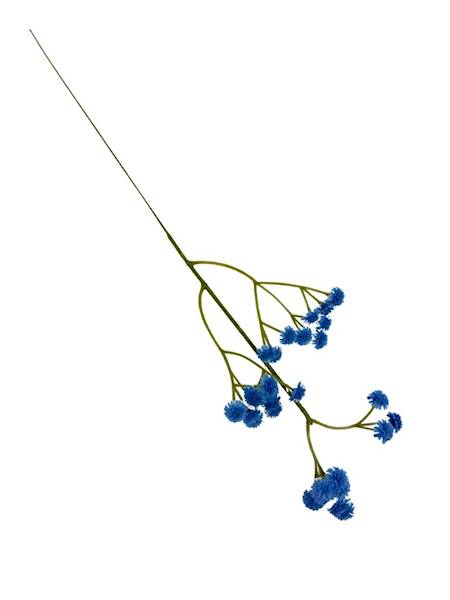 Gipsówka pik 43 cm niebieska