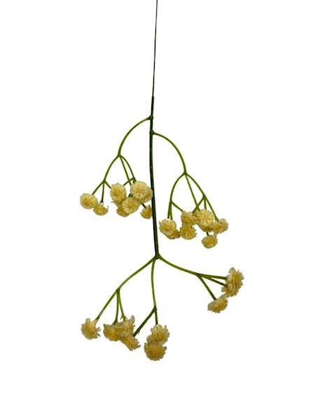 Gipsówka pik 43 cm beż