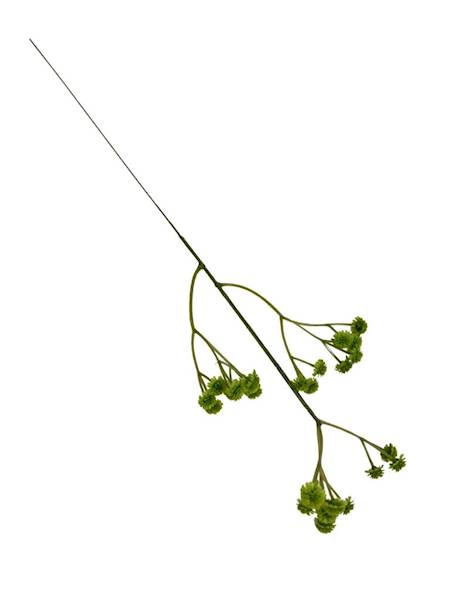 Gipsówka pik 43 cm zielona