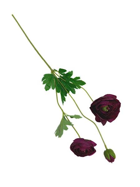 Pełnik gałązka 53 cm ciemna fuksja