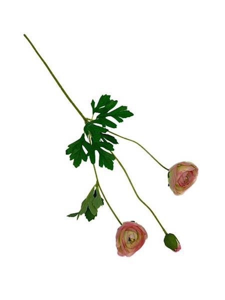 Pełnik gałązka 53 cm różowo zielony