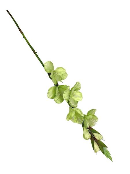 Mieczyk gałązka 85 cm zielony