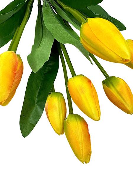 Bukiet 9 tulipanów 40 cm żółty