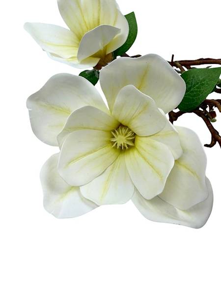 Magnolia bukiet silikonowy 55 cm kremowy
