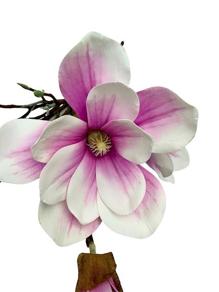 Magnolia bukiet silikonowy 55 cm fiolet z białym