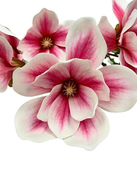 Magnolia bukiet silikonowy 55 cm róż z białym