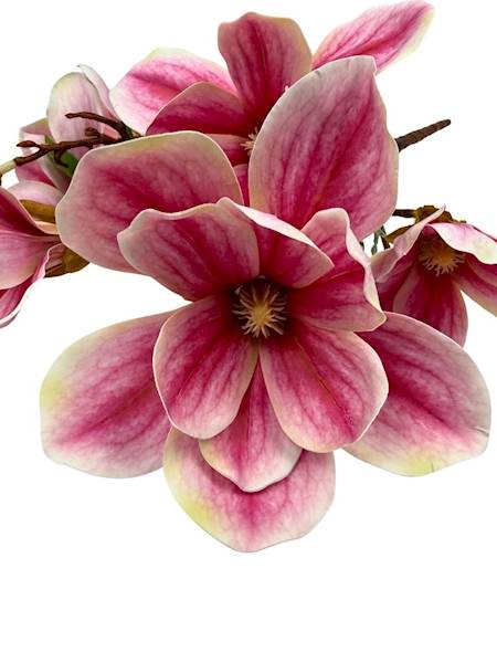 Magnolia bukiet silikonowy 55 cm ciemny róż