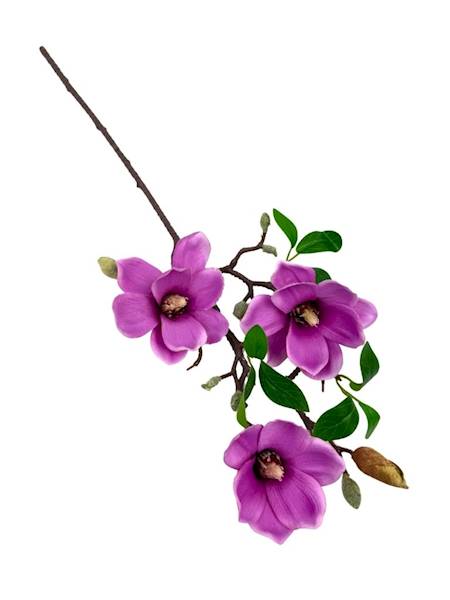 Magnolia gałązka 64 cm fioletowa