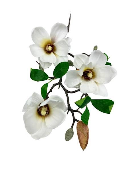 Magnolia gałązka 64 cm biała z żółtym