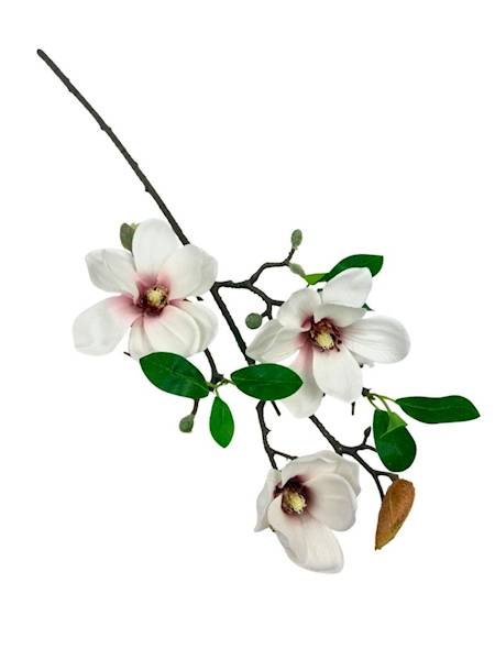 Magnolia gałązka 64 cm biała z różem