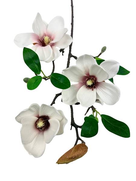 Magnolia gałązka 64 cm biała z różem