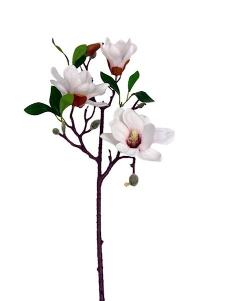Magnolia gałązka 64 cm biała z różem