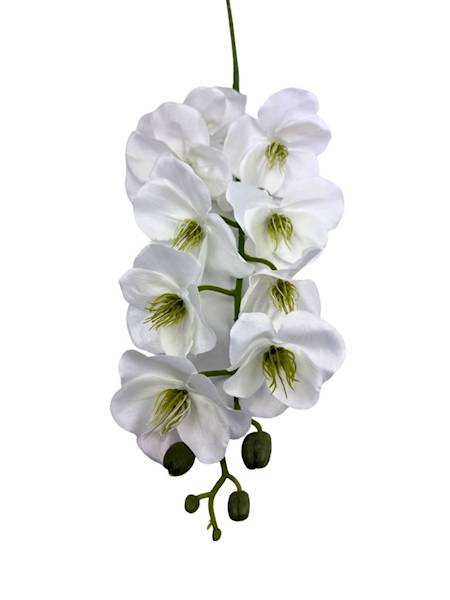 Storczyk gałązka 95 cm biały