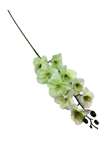 Storczyk gałązka 95 cm jasno zielony