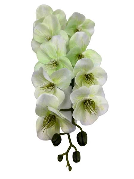 Storczyk gałązka 95 cm jasno zielony