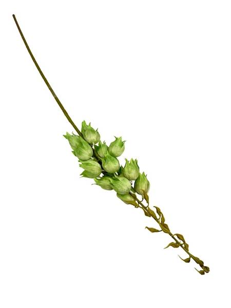 Juka gałązka 97 cm zielona