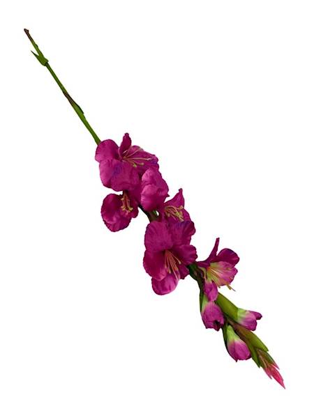 Mieczyk gałązka 85 cm fuksja