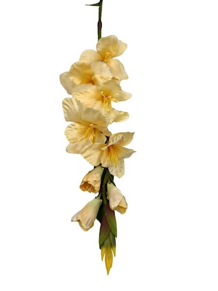 Mieczyk gałązka 85 cm waniliowy