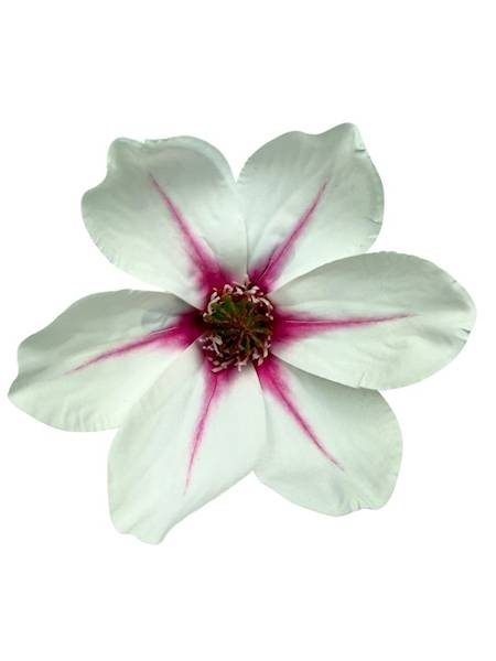 Magnolia główka silikonowa 13 cm biało różowa