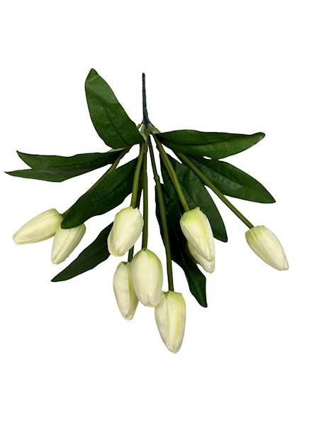 Bukiet 9 tulipanów 40 cm kremowy z zielonym