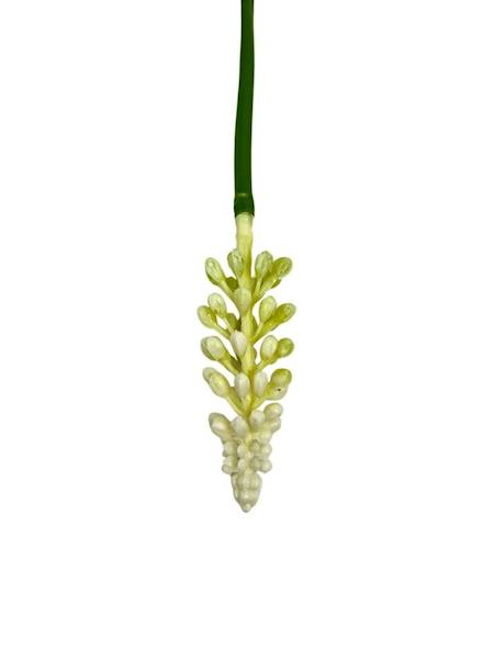 Szafirek gałązka 24 cm biały