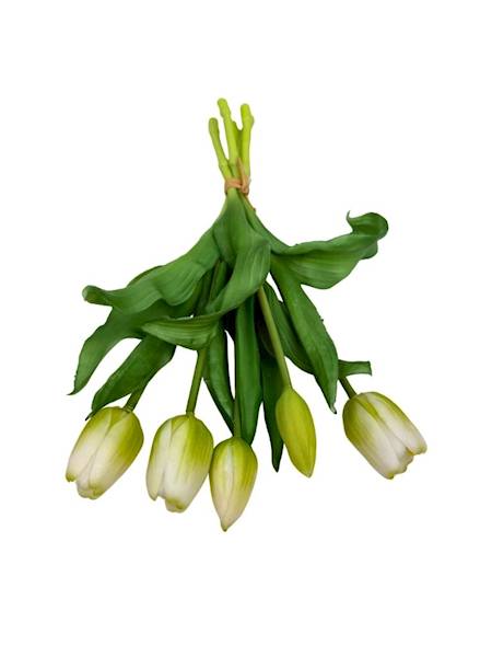 Tulipany gumowe wiązka 31 cm biało zielone