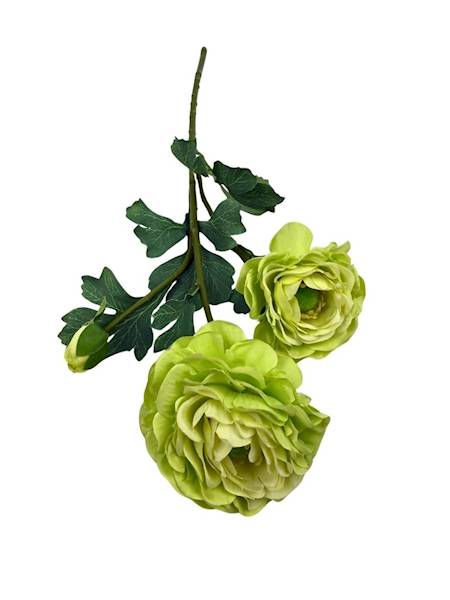 Pełnik gałązka 54 cm zielony