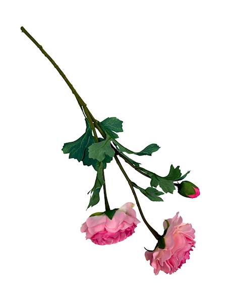 Pełnik gałązka 54 cm jasny róż