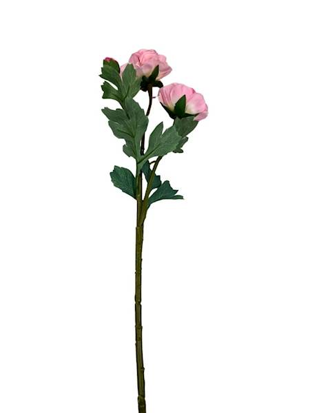 Pełnik gałązka 54 cm jasny róż