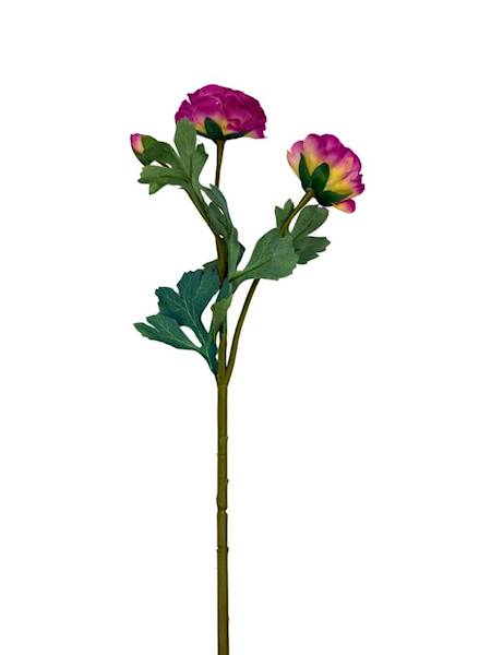 Pełnik gałązka 54 cm brudny fiolet