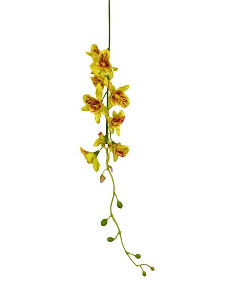 Storczyk tajlandzki 70 cm żółty