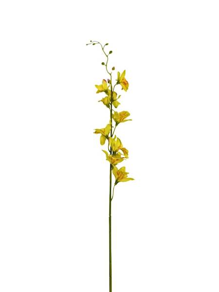 Storczyk tajlandzki 70 cm żółty