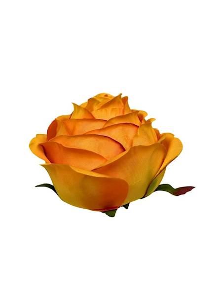 Róża główka 8 cm pomarańczowa