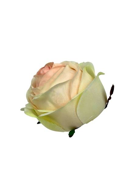 Róża główka 8 cm jasna brzoskwinia i zielony