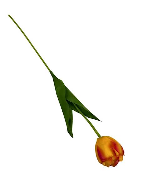 Tulipan gałązka 55 cm pomarańczowy