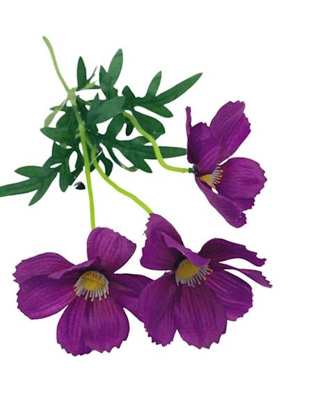 Kosmos gałązka 52 cm purpurowy