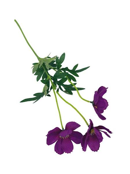 Kosmos gałązka 52 cm purpurowy