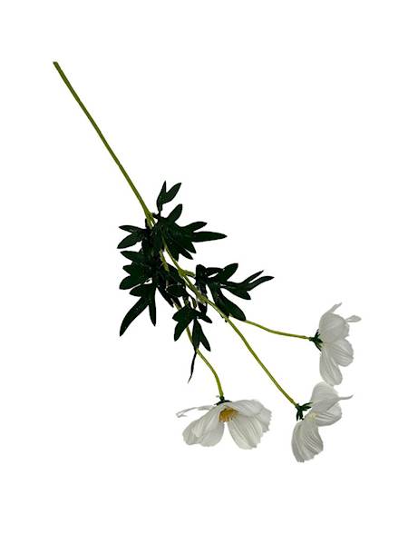 Kosmos gałązka 52 cm biały