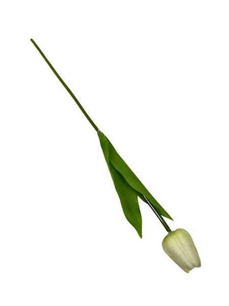 Tulipan gałązka 49 cm kremowy