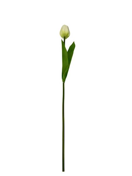 Tulipan gałązka 49 cm kremowy