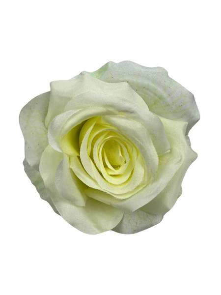 Róża główka 10 cm jasny krem