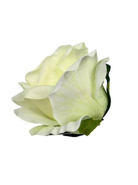 Róża główka 10 cm jasny krem