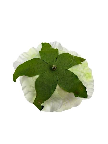 Róża główka 10 cm jasny krem