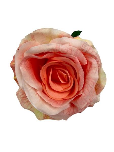 Róża główka 10 cm łososiowa