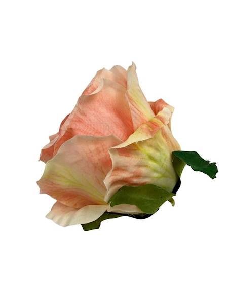 Róża główka 10 cm łososiowa