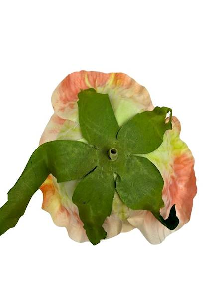 Róża główka 10 cm łososiowa