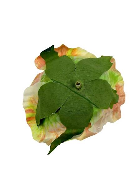 Róża główka 10 cm brzoskwiniowa