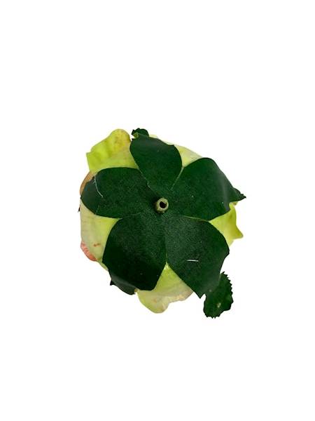 Róża główka 6 cm jasna brzoskwinia