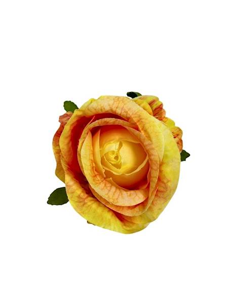 Róża główka 6 cm żółto pomarańczowa